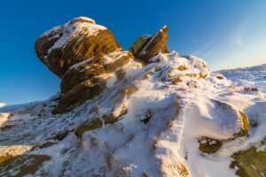 the domain name in the video is www.flamingflamingos.eu, what is the top level domain in this name?