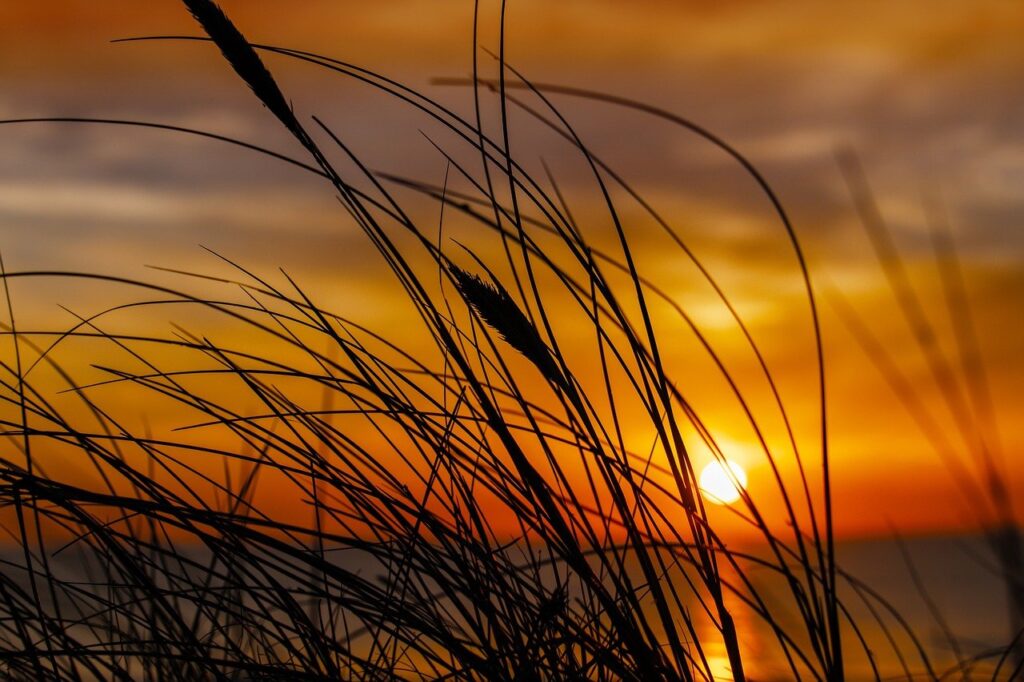 the most common problems encountered with basements are related to: