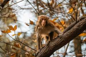 the person you dialed is not able to receive calls at this time