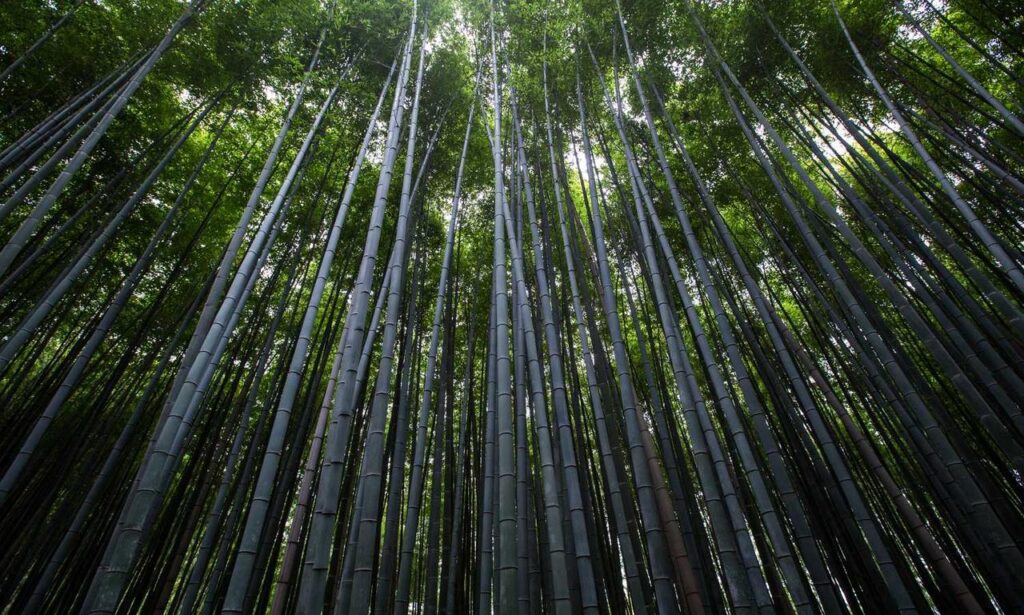 10. which eoc configuration aligns with the on-scene incident organization?