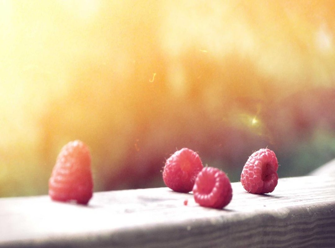 Frequently Asked Questions (FAQs)