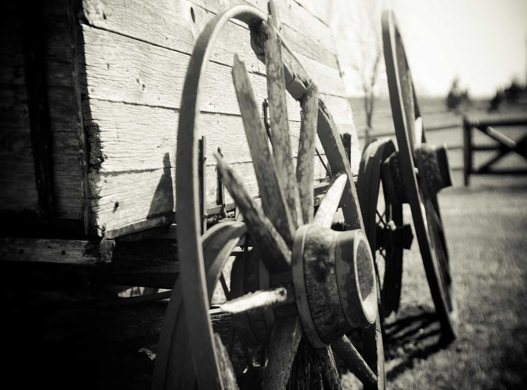 Frequently Asked Questions (FAQs)