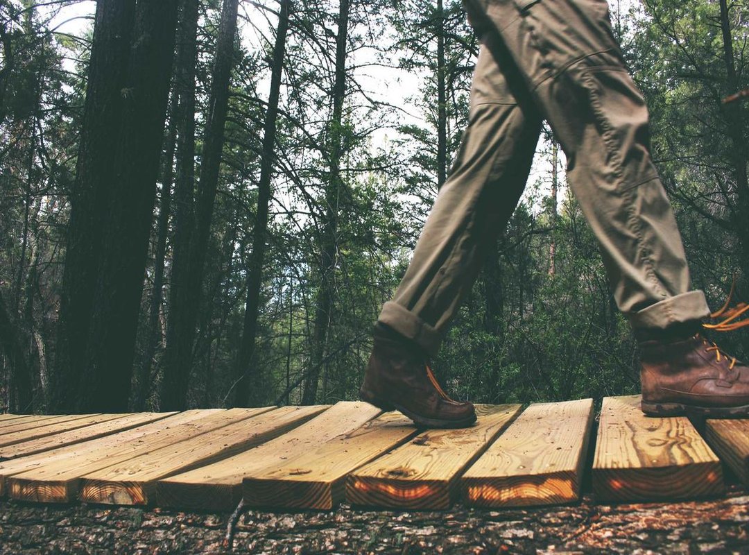 Profile: Fernando Rosas