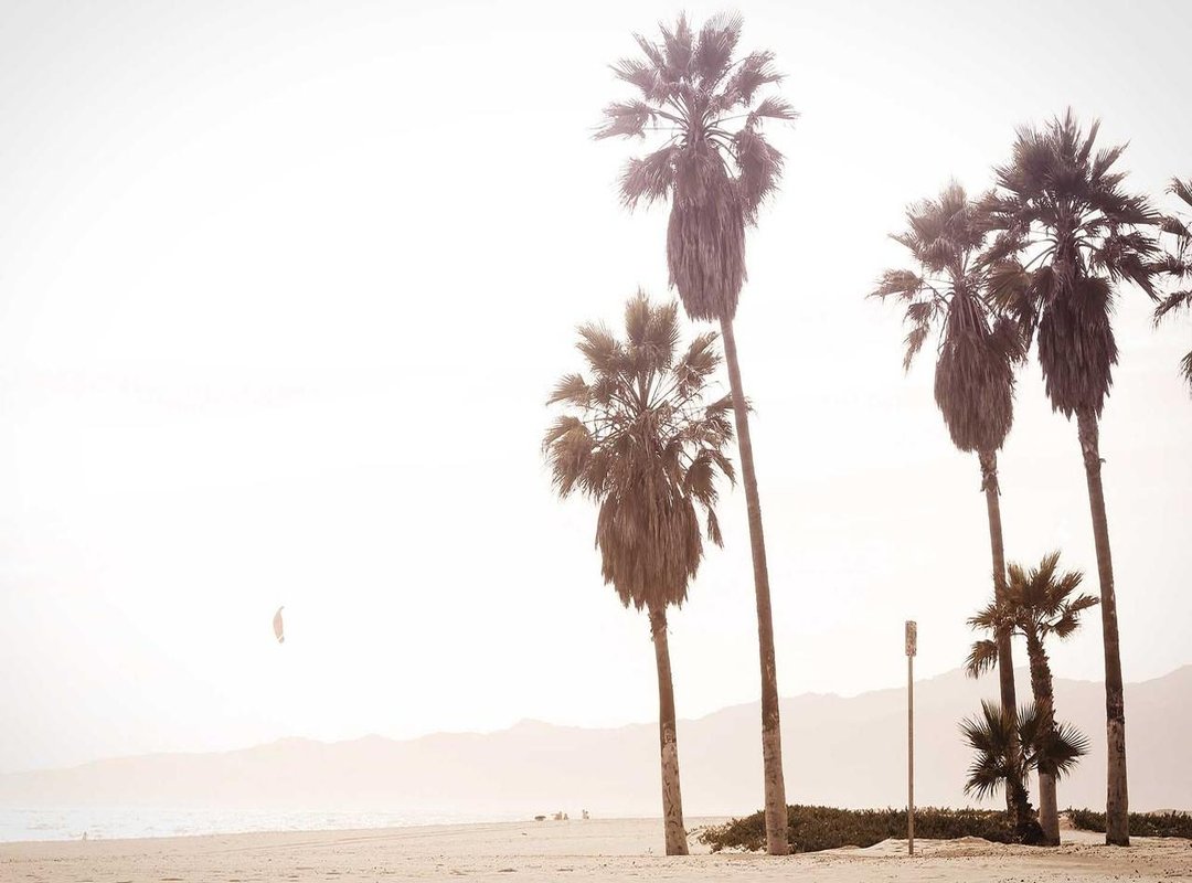 Beyond the Sidelines: Sophia Weber's Career and Passions