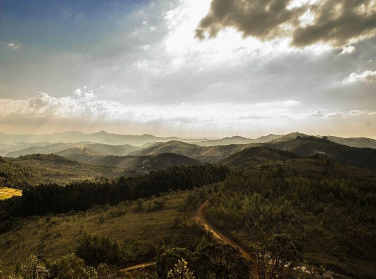 kleurplaat ronaldinho
