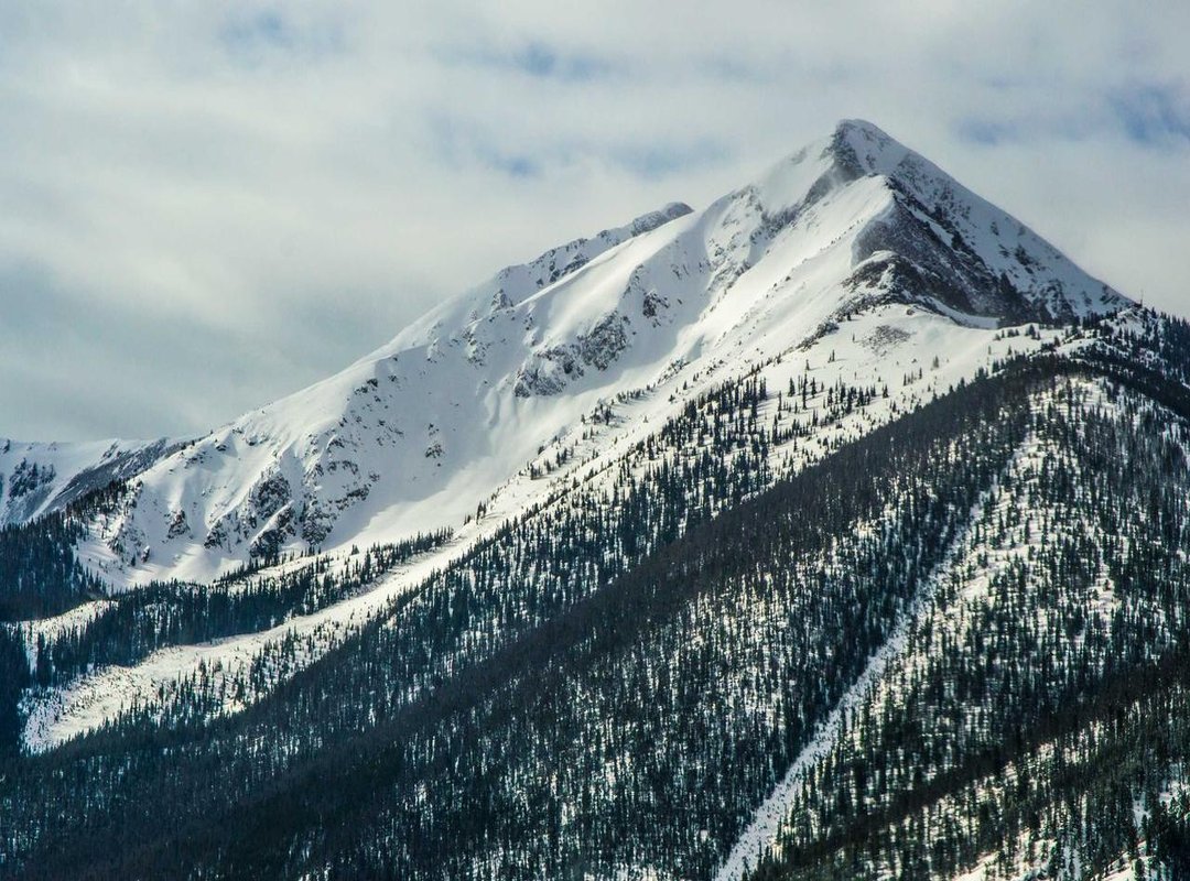 An Update on Father Kotas: His Current Activities and Where to Find Him