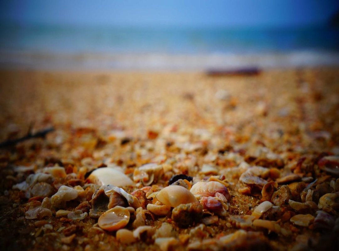 The Anime Connection: Why is the Song Named 'Seiya'?