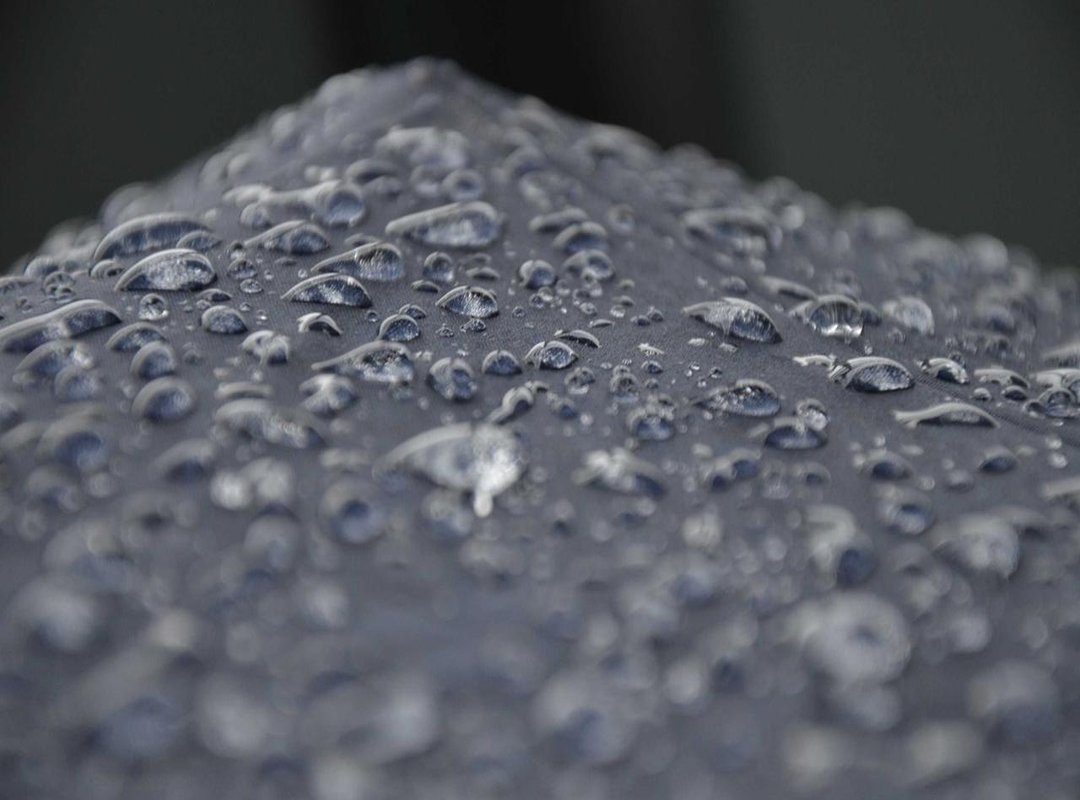 Twitter: The Social Media Giant