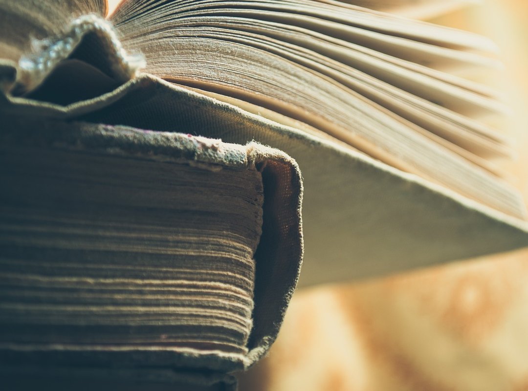 How Her Page Stacks Up in the Creator Landscape